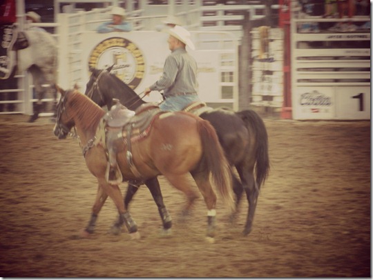 rodeo 003
